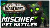 Mischief Managed! Pet Battle PvP! World of Warcraft Shadowlands Competitive WoW Battle Pet Guide!