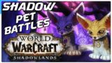 Shadow Pet Battle PvP! World of Warcraft Shadowlands Competitive WoW Battle Pet Team Guide!