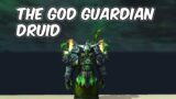 The GOD Guardian Druid – 9.2.5 Survival Hunter PvP – WoW Shadowlands PvP
