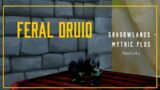 WoW – Feral Druid Build PVE – Season 3 & 4 –  Shadowlands 9.2.5
