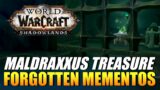 World Of Warcraft: Shadowlands – Forgotten Mementos (Maldraxxus Treasure)