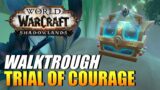 World Of Warcraft: Shadowlands – Gift Of Agthia (Bastion Treasure)