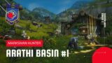 World of Warcraft: Shadowlands | Arathi Basin Battleground | MM Hunter #1