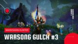 World of Warcraft: Shadowlands | Warsong Gulch Battleground | MM Hunter #3