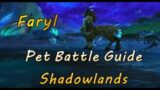 Wow Shadowlands Pet Battle Guide – Faryl