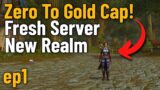Zero To Gold Cap Fresh Server New Realm ep1 (World of Warcraft Challenge)