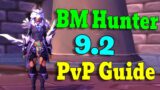 Beast Mastery Hunter PvP Guide / Shadowlands 9.2.5 – ALL in ONE