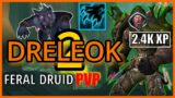 Dreleok 2 – Feral druid PVP (2.4K XP) || Shadowlands 9.2.5