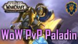 Let's Play WoW Shadowlands PvP [Vergeltung Paladin] #18 | Chancenlos?