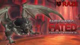 Raze VS Shriekwing Fated Mythic | Castle Nathria | Warlock POV | WoW: Shadowlands