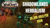 Shadowlands Herbalism Farm | 20-30k Gold per Hour | Wow farm guide