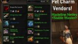 WoW Shadowlands 9.2.5 – WHAT To Do With TONS of Polished Pet Charms! PASSIVE Gold Making!