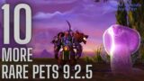 10 More Rare & Unique Pets to Tame in World of Warcraft | Shadowlands 9.2.5