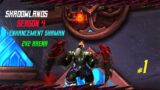 Enhancement Shaman PvP #1 – 2v2 Arena [Low Cr] – Shadowlands Season 4