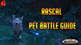 Rascal Pet Battle Guide – Shadowlands