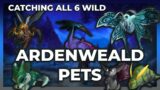 Shadowlands Safari Achievement Ardenweald | Pet Battles | Shadowlands