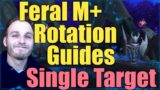 WoW Shadowlands: Feral M+ Rotation Guides – Single Target BT + No BT – Psybearslat