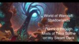 World of Warcraft: Shadowlands played on my Steam Deck