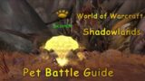 Wow Shadowlands Pet Battle Guide – Scorch