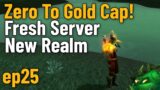 Zero To Gold Cap Fresh Server New Realm ep25 (World of Warcraft Challenge)