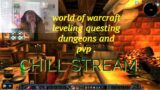 (AUS) WORLD OF WARCRAFT LIVE STREAM, LEVELING, CHARACTS AND WOW PVP :)