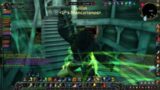 Druida healer gameplay World of Warcraft Shadowlands PVP
