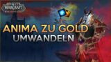Letzte Chance: Anima zu Gold umwandeln | Shadowlands Gold Guide