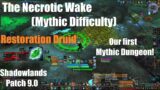Necrotic Wake MYTHIC – Level 60 Restoration Druid – World of Warcraft Shadowlands