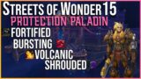 Protection Paladin POV | Streets of Wonder 15 | Season 4 Shadowlands