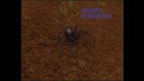 World Of Warcraft Shadowlands // Blushing Spiderling Pet 185k-220k