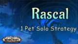 Wow Shadowlands Pet Battle Guide – Rascal