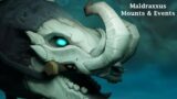 Mounts & Events im Maldraxxus | Shadowlands Zonen Runde – Was lohnt sich? | World of Warcraft