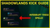 Shadowlands M+ Priority Kick Guide | EVERY Important Interrupt in all 8 Dungeons