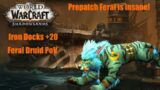 World of Warcraft Shadowlands: Iron Docks +20 Feral Druid PoV [Prepatch] 10.0