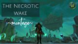 World of Warcraft | The Necrotic Wake Mythic ~montage~ | Shadowlands