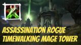 Assassination Rogue | Timewalking Mage Tower | Shadowlands