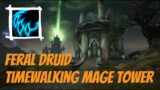 Feral Druid | Timewalking Mage Tower | Shadowlands