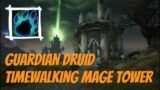 Guardian Druid | Timewalking Mage Tower | Shadowlands