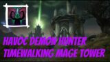 Havoc Demon | Hunter Timewalking Mage Tower | Shadowlands