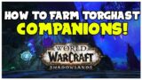 How To Farm Companions In Torghast Patch 9.2 | Shadowlands Guide