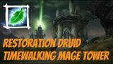 Restoration Druid | Timewalking Mage Tower | Shadowlands