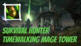 Survival Hunter | Timewalking Mage Tower | Shadowlands