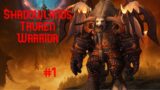 WoW Shadowlands | Tauren Warrior Playthrough #1