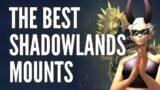 BEST SHADOWLANDS MOUNTS