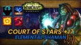 COURT OF STARS +17 | SHAMAN ELEMENTAL| WOW DRAGONFLIGHT 10.0.5