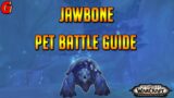 Jawbone Pet Battle Guide – Shadowlands