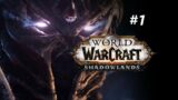 World of Warcraft: Shadowlands #1