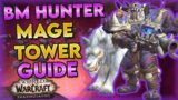 Shadowlands | BM Hunter Mage Tower Guide
