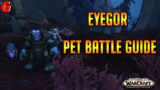 Eyegor Pet Battle Guide – Shadowlands