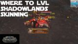 How and Where to Level Shadowlands Skinning – The Best Place to Level SL Skinning